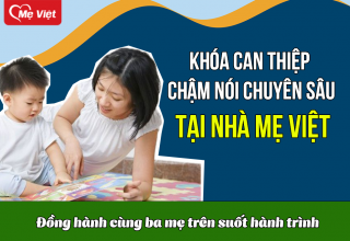 Khóa Can thiệp chậm nói chuyên sâu tại nhà Mẹ Việt